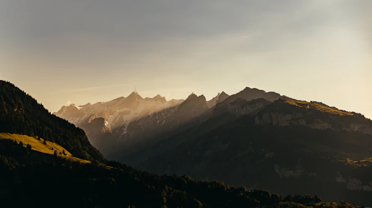 Swiss Citizenship: Naturalisation & Pathways